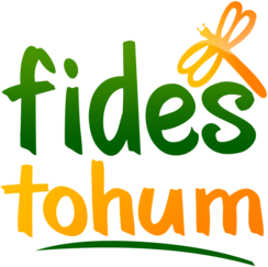 fidestohum.com
